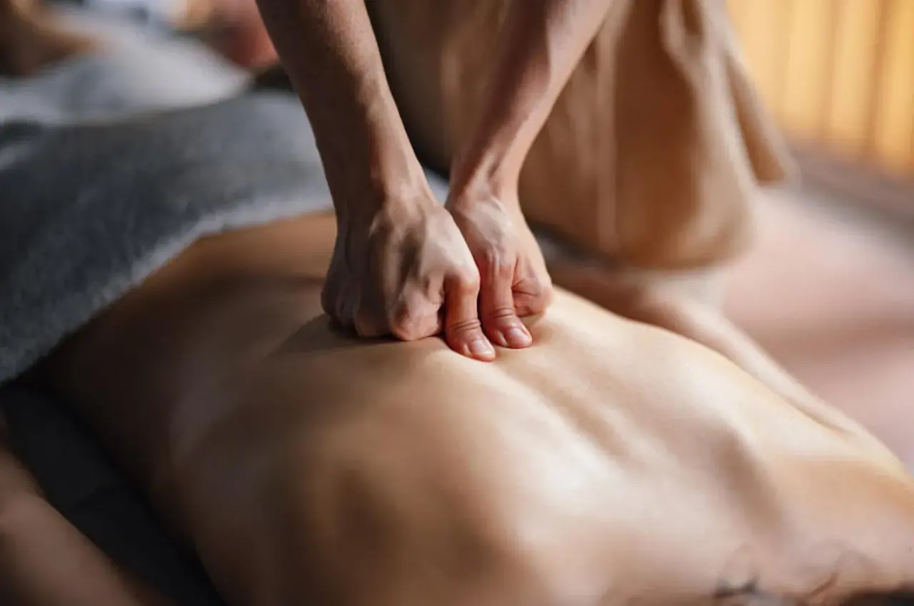 Back and shoulder massage technique at N&T Health & Wellness Spa in Orange CA